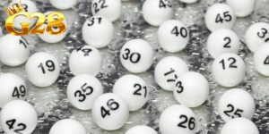 Cách Nuôi Lô Dàn Số Kinh Nghiệm Chọn Dàn Chuẩn Mỗi Ngày